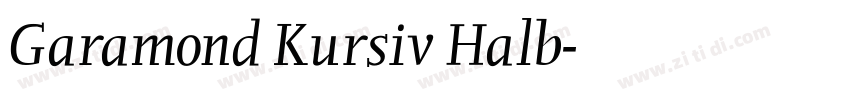 Garamond Kursiv Halb字体转换